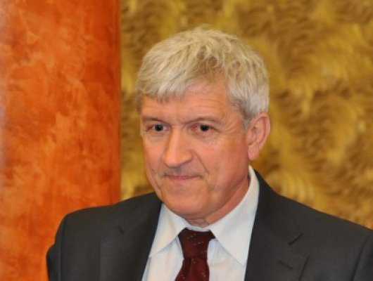 Ce spune Mircea Diaconu despre cota de refugiați